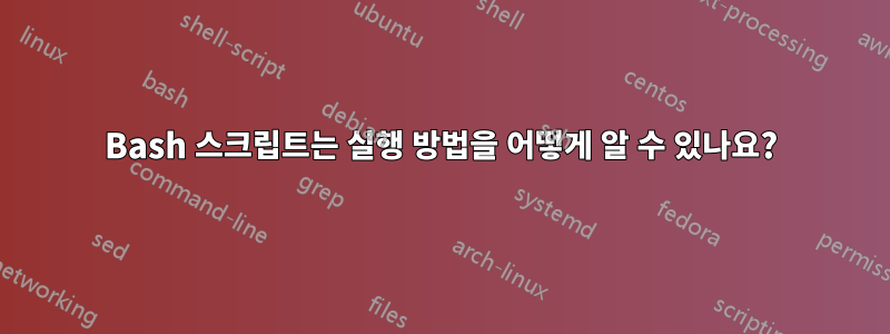 Bash 스크립트는 실행 방법을 어떻게 알 수 있나요?