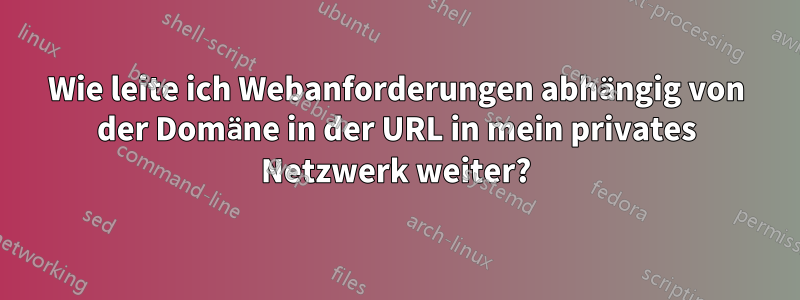 Wie leite ich Webanforderungen abhängig von der Domäne in der URL in mein privates Netzwerk weiter?