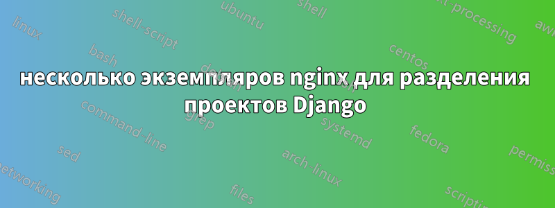 несколько экземпляров nginx для разделения проектов Django