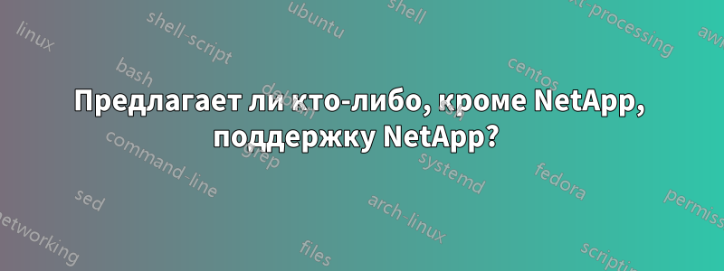 Предлагает ли кто-либо, кроме NetApp, поддержку NetApp? 