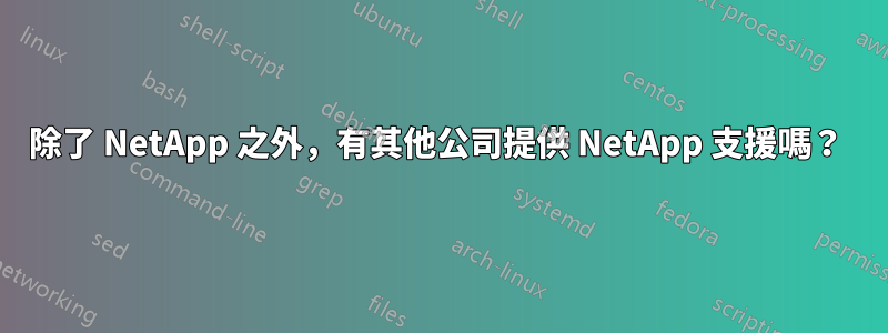 除了 NetApp 之外，有其他公司提供 NetApp 支援嗎？ 