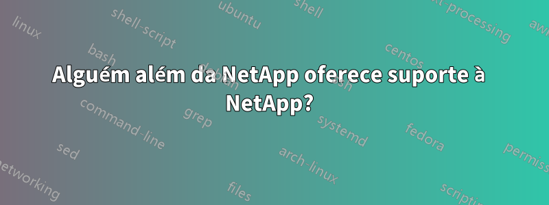 Alguém além da NetApp oferece suporte à NetApp? 