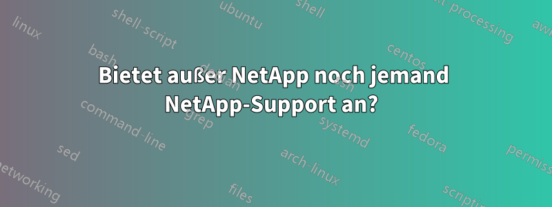 Bietet außer NetApp noch jemand NetApp-Support an? 