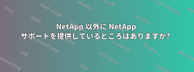 NetApp 以外に NetApp サポートを提供しているところはありますか? 