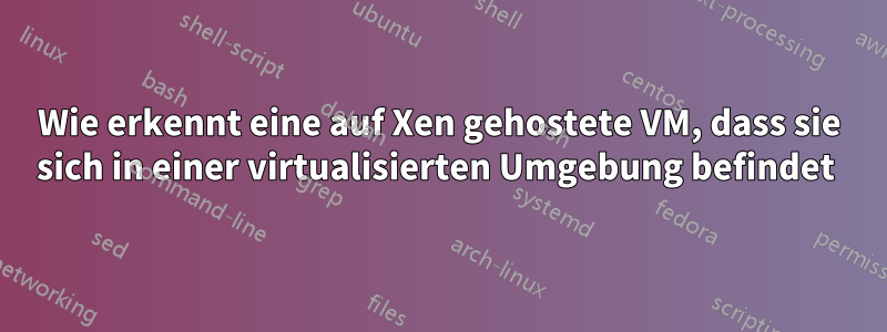 Wie erkennt eine auf Xen gehostete VM, dass sie sich in einer virtualisierten Umgebung befindet 