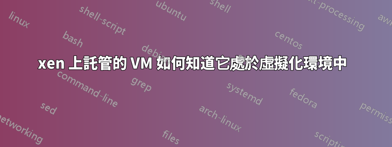 xen 上託管的 VM 如何知道它處於虛擬化環境中 