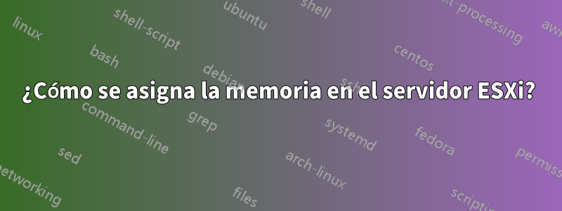 ¿Cómo se asigna la memoria en el servidor ESXi?