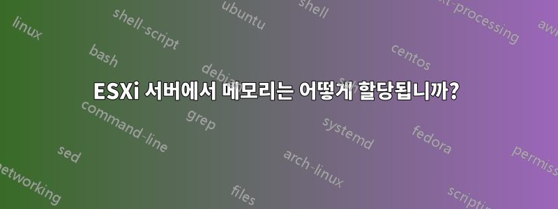 ESXi 서버에서 메모리는 어떻게 할당됩니까?