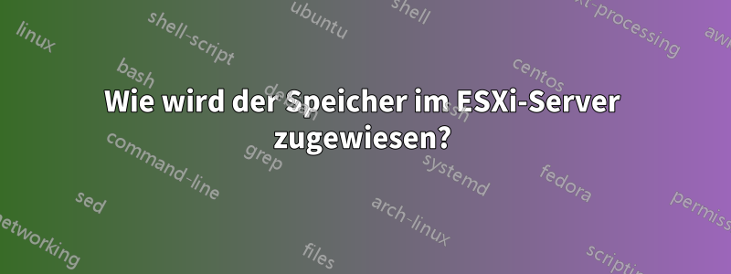 Wie wird der Speicher im ESXi-Server zugewiesen?