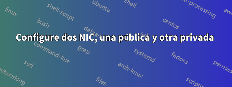 Configure dos NIC, una pública y otra privada