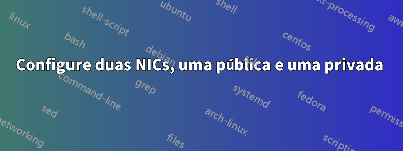 Configure duas NICs, uma pública e uma privada