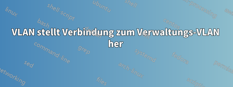 VLAN stellt Verbindung zum Verwaltungs-VLAN her