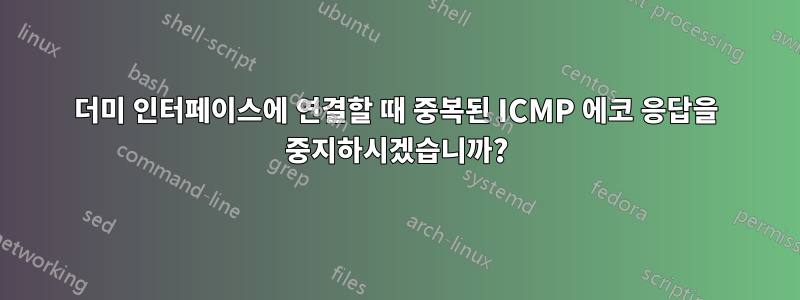 더미 인터페이스에 연결할 때 중복된 ICMP 에코 응답을 중지하시겠습니까?