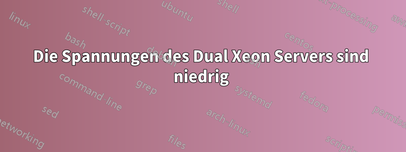 Die Spannungen des Dual Xeon Servers sind niedrig