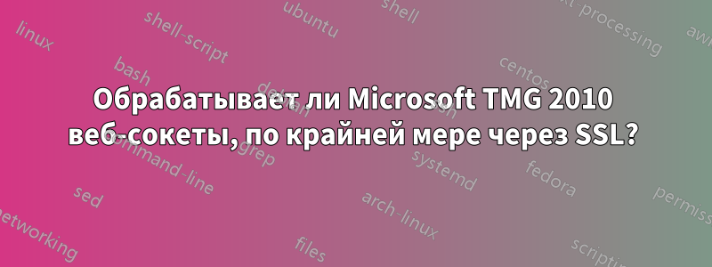 Обрабатывает ли Microsoft TMG 2010 веб-сокеты, по крайней мере через SSL?