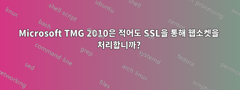 Microsoft TMG 2010은 적어도 SSL을 통해 웹소켓을 처리합니까?