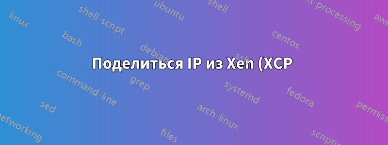 Поделиться IP из Xen (XCP) Dom0 в DomU
