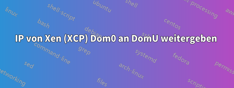 IP von Xen (XCP) Dom0 an DomU weitergeben