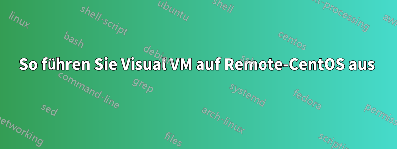 So führen Sie Visual VM auf Remote-CentOS aus