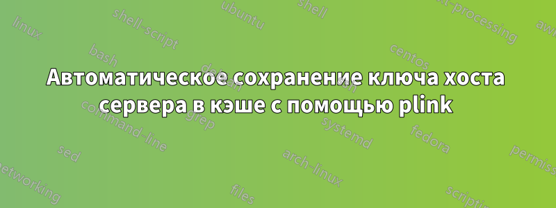 Автоматическое сохранение ключа хоста сервера в кэше с помощью plink