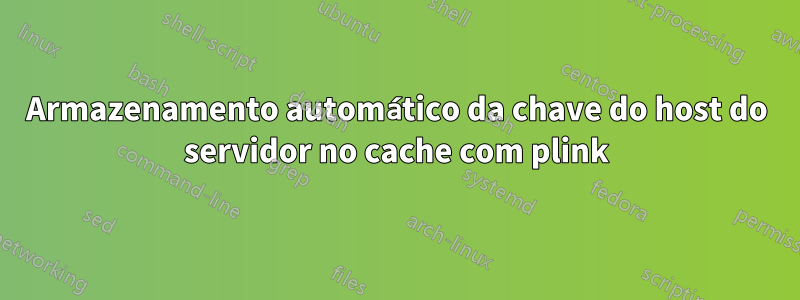 Armazenamento automático da chave do host do servidor no cache com plink