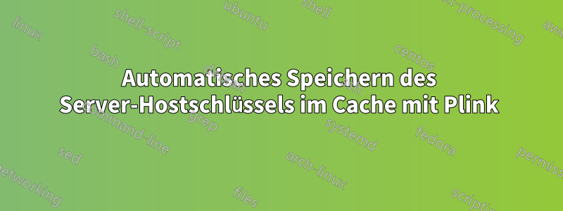 Automatisches Speichern des Server-Hostschlüssels im Cache mit Plink