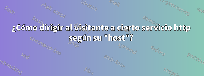 ¿Cómo dirigir al visitante a cierto servicio http según su "host"?