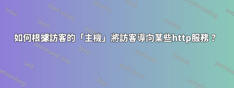 如何根據訪客的「主機」將訪客導向某些http服務？