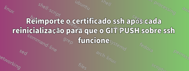 Reimporte o certificado ssh após cada reinicialização para que o GIT PUSH sobre ssh funcione