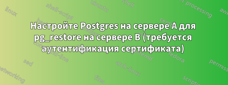 Настройте Postgres на сервере A для pg_restore на сервере B (требуется аутентификация сертификата)