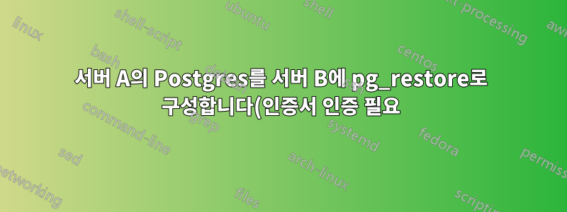 서버 A의 Postgres를 서버 B에 pg_restore로 구성합니다(인증서 인증 필요).