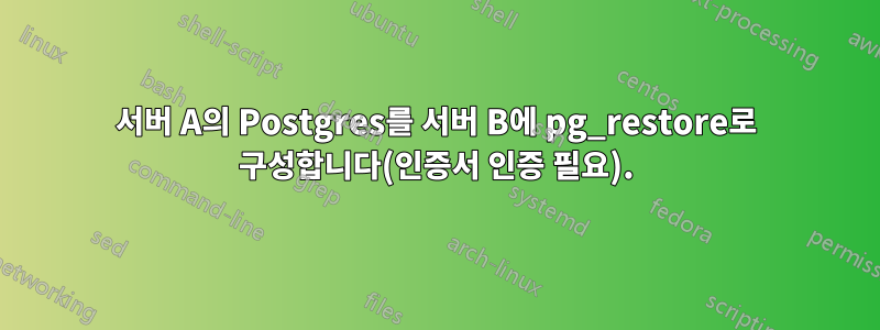 서버 A의 Postgres를 서버 B에 pg_restore로 구성합니다(인증서 인증 필요).