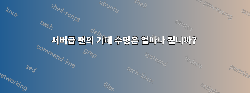 서버급 팬의 기대 수명은 얼마나 됩니까?