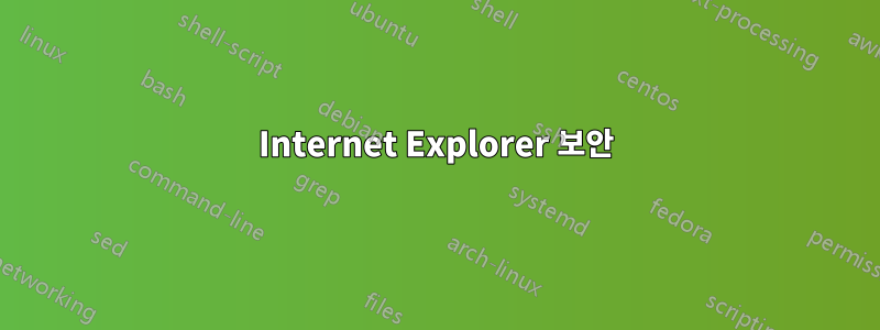 Internet Explorer 보안