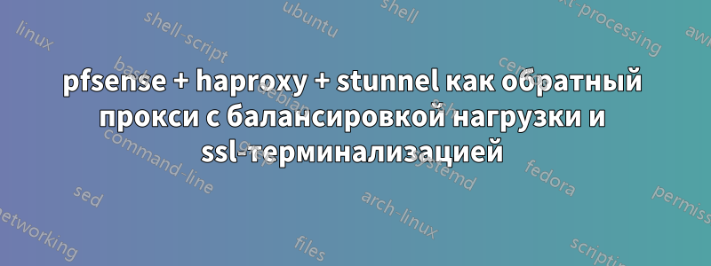 pfsense + haproxy + stunnel как обратный прокси с балансировкой нагрузки и ssl-терминализацией