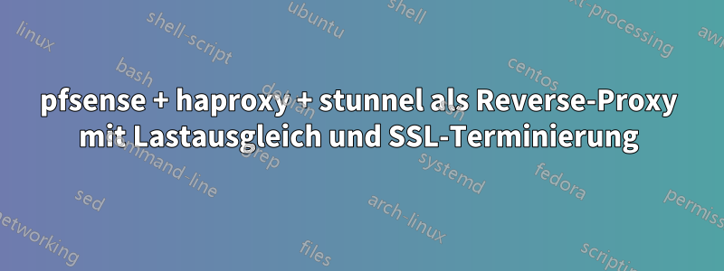 pfsense + haproxy + stunnel als Reverse-Proxy mit Lastausgleich und SSL-Terminierung