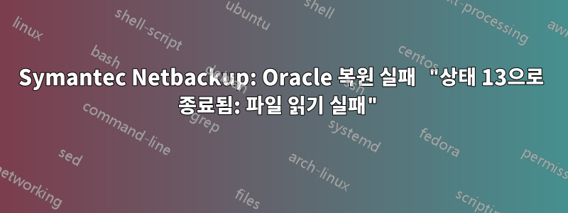 Symantec Netbackup: Oracle 복원 실패 "상태 13으로 종료됨: 파일 읽기 실패"