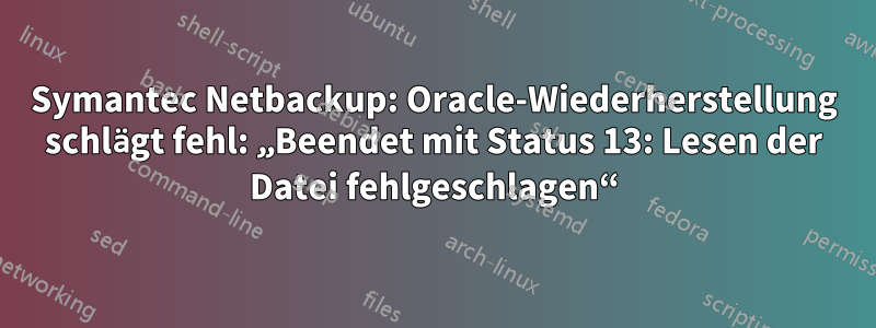 Symantec Netbackup: Oracle-Wiederherstellung schlägt fehl: „Beendet mit Status 13: Lesen der Datei fehlgeschlagen“