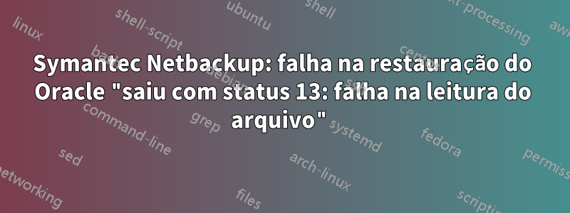 Symantec Netbackup: falha na restauração do Oracle "saiu com status 13: falha na leitura do arquivo"