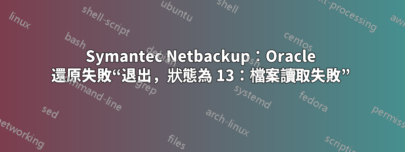 Symantec Netbackup：Oracle 還原失敗“退出，狀態為 13：檔案讀取失敗”