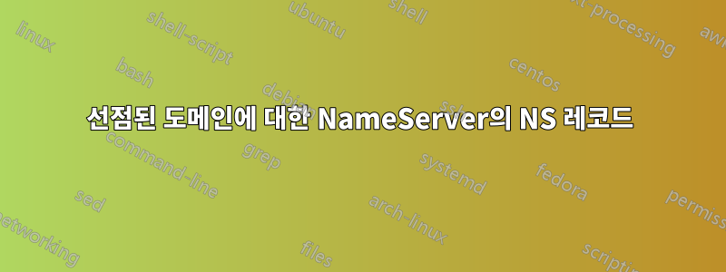 선점된 도메인에 대한 NameServer의 NS 레코드