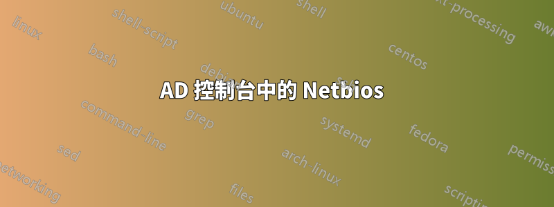 AD 控制台中的 Netbios 