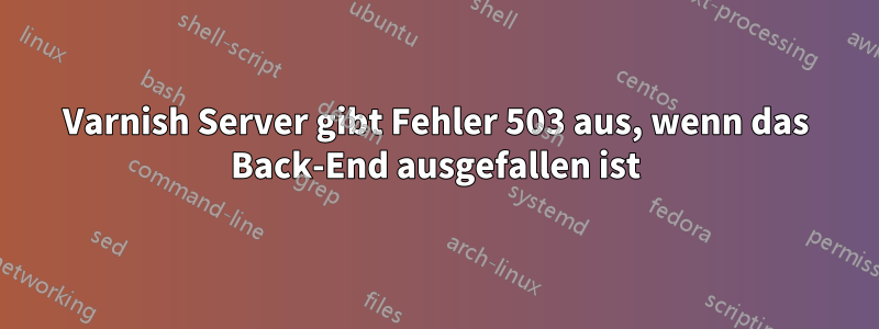 Varnish Server gibt Fehler 503 aus, wenn das Back-End ausgefallen ist