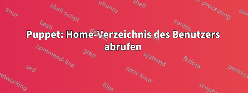 Puppet: Home-Verzeichnis des Benutzers abrufen