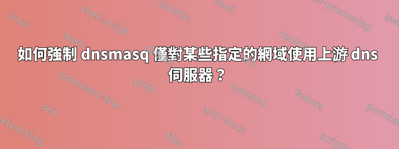 如何強制 dnsmasq 僅對某些指定的網域使用上游 dns 伺服器？