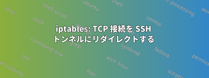 iptables: TCP 接続を SSH トンネルにリダイレクトする