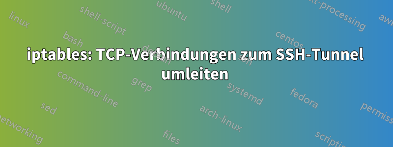 iptables: TCP-Verbindungen zum SSH-Tunnel umleiten