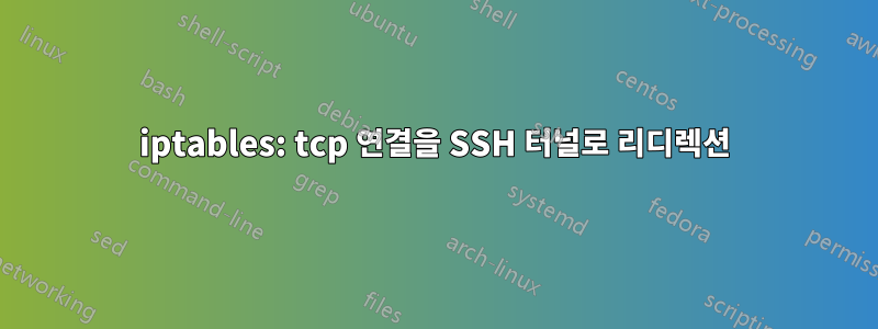 iptables: tcp 연결을 SSH 터널로 리디렉션