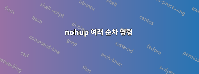 nohup 여러 순차 명령