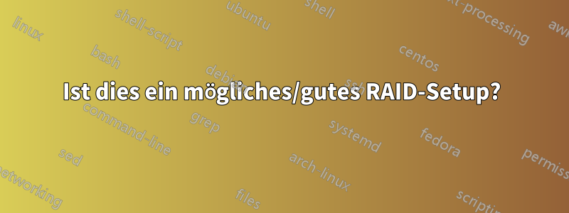 Ist dies ein mögliches/gutes RAID-Setup?